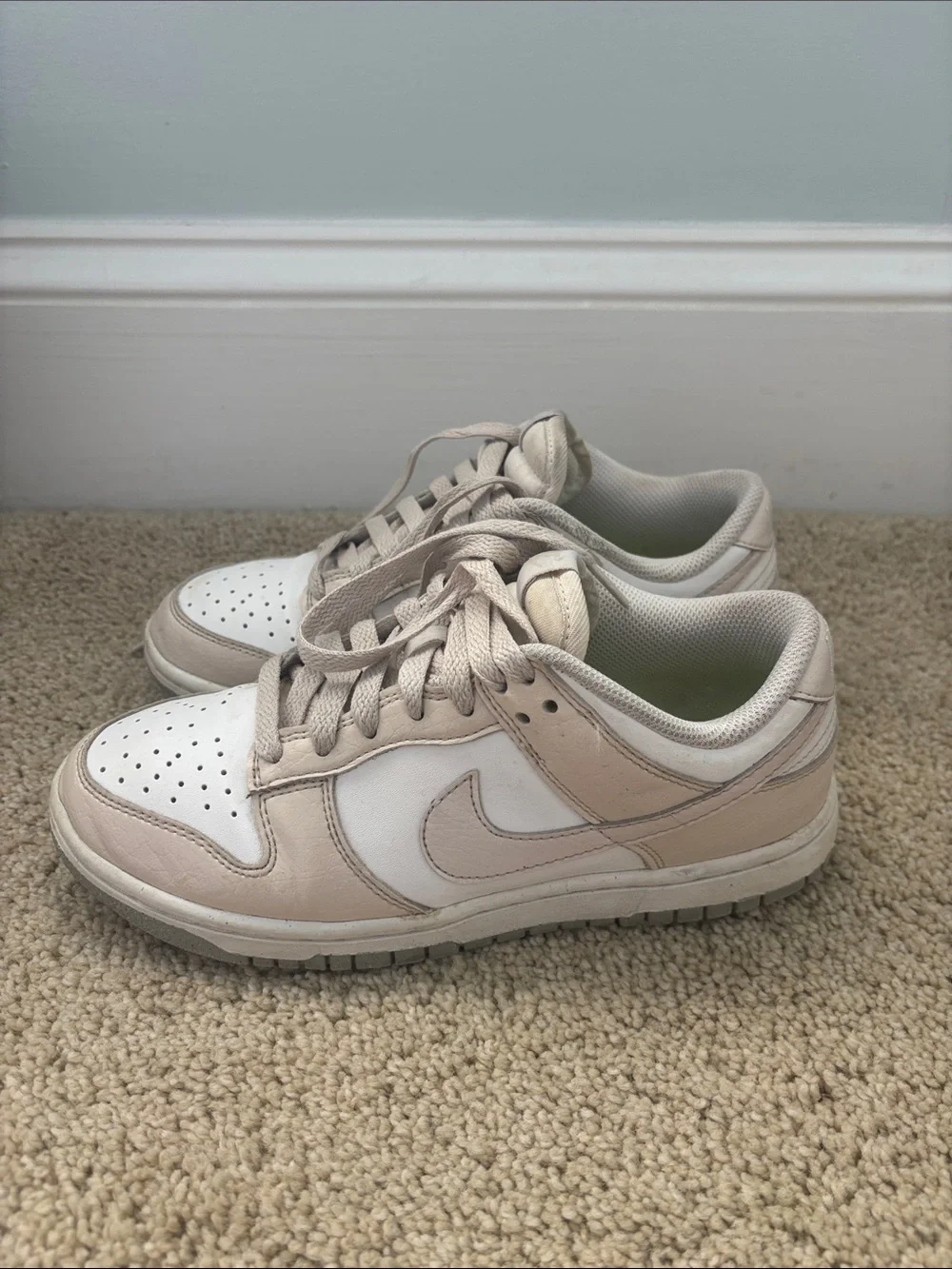 Nike Dunk Low Next Nature in 